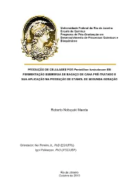 5 Resultados E Discusses