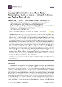 Analysis of Centranthera Grandiflora Benth Transcriptome Explores