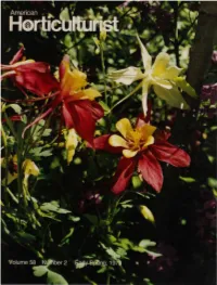 Clematis Clematis Are the Noblest and Most Colorful of Climbing Vines