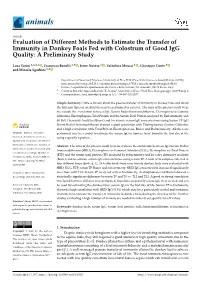 Evaluation of Different Methods to Estimate the Transfer of Immunity in Donkey Foals Fed with Colostrum of Good Igg Quality: a Preliminary Study
