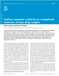 Orphan Enzymes Could Be an Unexplored Reservoir of New Drug Targets