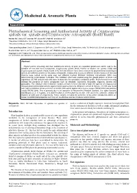 Phytochemical Screening and Antibacterial Activity of Cryptocoryne Spiralis Var