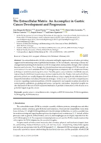 The Extracellular Matrix: an Accomplice in Gastric Cancer Development and Progression