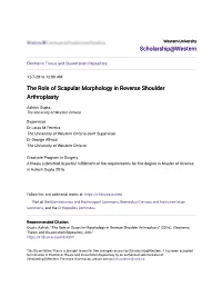The Role of Scapular Morphology in Reverse Shoulder Arthroplasty