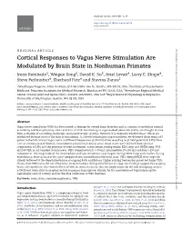 Cortical Responses to Vagus Nerve Stimulation Are Modulated by Brain State in Nonhuman Primates Irene Rembado1, Weiguo Song2, David K