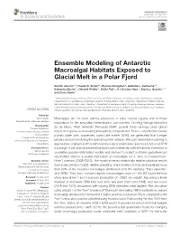 Ensemble Modeling of Antarctic Macroalgal Habitats Exposed to Glacial Melt in a Polar Fjord