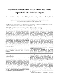 From the Gunflint Chert and Its Implications for Eukaryote Origins