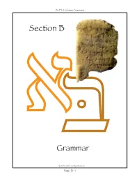 Section B Grammar