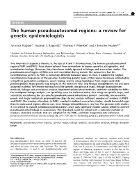 The Human Pseudoautosomal Regions: a Review for Genetic Epidemiologists