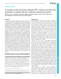 A Mutation in the Tuft Mouse Disrupts TET1 Activity and Alters the Expression of Genes That Are Crucial for Neural Tube Closure Keith S