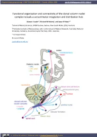 Functional Organisation and Connectivity of the Dorsal Column Nuclei Complex Reveals a Sensorimotor Integration and Distribution Hub