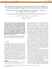 Incorporation of Oxygen Into the Succinate Co-Product of Iron(II) and 2-Oxoglutarate Dependent Oxygenases from Bacteria, Plants and Humans