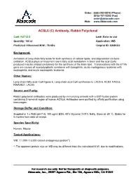 ACSL6 (C) Antibody, Rabbit Polyclonal