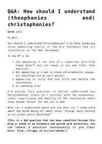 Q&A: How Should I Understand (Theophanies And) Christophanies?