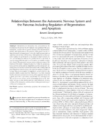 Relationships Between the Autonomic Nervous System and the Pancreas Including Regulation of Regeneration and Apoptosis Recent Developments