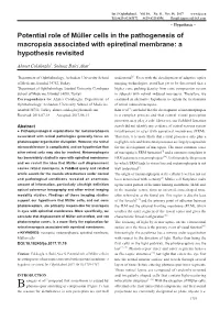 Potential Role of Müller Cells in the Pathogenesis of Macropsia Associated with Epiretinal Membrane: a Hypothesis Revisited