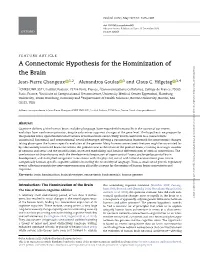 A Connectomic Hypothesis for the Hominization of the Brain