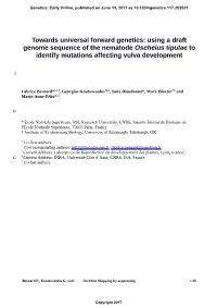 Towards Universal Forward Genetics: Using a Draft Genome Sequence of the Nematode Oscheius Tipulae to Identify Mutations Affecting Vulva Development