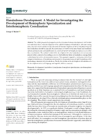 Handedness Development: a Model for Investigating the Development of Hemispheric Specialization and Interhemispheric Coordination