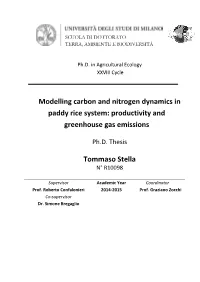 Modelling Carbon and Nitrogen Dynamics in Paddy Rice System: Productivity and Greenhouse Gas Emissions