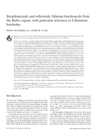 Strophomenide and Orthotetide Silurian Brachiopods from the Baltic Region, with Particular Reference to Lithuanian Boreholes