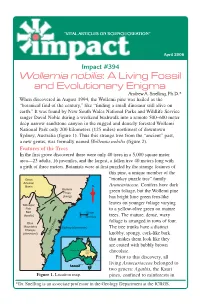 A Living Fossil and Evolutionary Enigma Andrew A