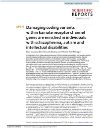 Damaging Coding Variants Within Kainate Receptor Channel Genes Are Enriched in Individuals with Schizophrenia, Autism and Intell