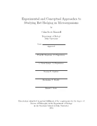 Experimental and Conceptual Approaches to Studying Bet Hedging in Microorganisms