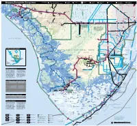 Mapping Everglades Ecosystems