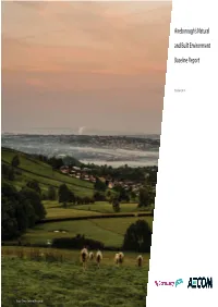 Aireborough Baseline Report B.Indd