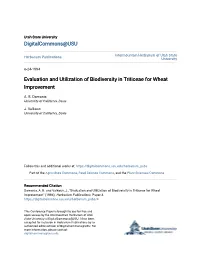 Evaluation and Utilization of Biodiversity in Triticeae for Wheat Lmprovement