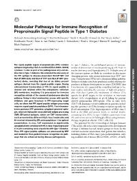 Molecular Pathways for Immune Recognition of Preproinsulin Signal Peptide in Type 1 Diabetes