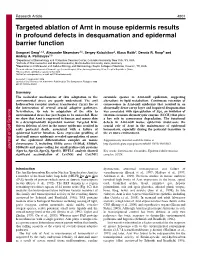 Targeted Ablation of Arnt in Mouse Epidermis Results in Profound Defects in Desquamation and Epidermal Barrier Function