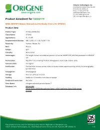 ERK5 (MAPK7) Mouse Monoclonal Antibody [Clone ID: OTI3H2] Product Data