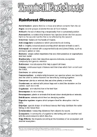 Rainforest Glossary