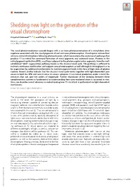 Shedding New Light on the Generation of the Visual Chromophore PERSPECTIVE Krzysztof Palczewskia,B,C,1 and Philip D