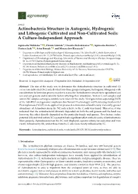 Actinobacteria Structure in Autogenic, Hydrogenic and Lithogenic Cultivated and Non-Cultivated Soils: a Culture-Independent Approach