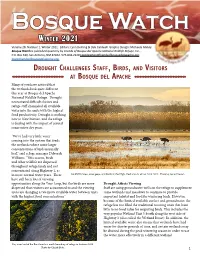 Drought Challenges Staff, Birds, and Visitors at Bosque Del Apache