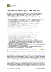 Global Actions for Managing Cactus Invasions