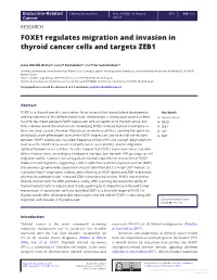 FOXE1 Regulates Migration and Invasion in Thyroid Cancer Cells and Targets ZEB1