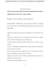 Selective and Controlled Myelin Formation by Individual Interfascicular