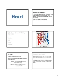 The Circulatory System Provides a Way for the Blood to Be Transported Throughout the Body