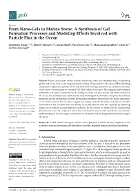 From Nano-Gels to Marine Snow: a Synthesis of Gel Formation Processes and Modeling Efforts Involved with Particle Flux in the Ocean