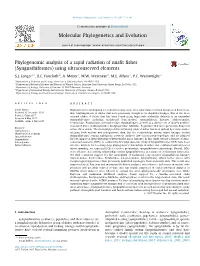 Syngnathiformes) Using Ultraconserved Elements ⇑ S.J