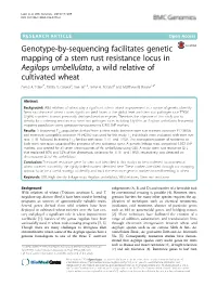Genotype-By-Sequencing Facilitates Genetic Mapping of a Stem Rust Resistance Locus in Aegilops Umbellulata, a Wild Relative of Cultivated Wheat Erena A