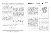Minnesota at a Glance Minnesota but Also Around the World, As Well As Crushed Rock Earth's Crust