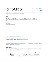 The Role of LIM Kinase 1 and Its Substrates in Cell Cycle Progression