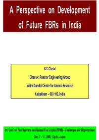 A Perspective on Development of Future Fbrs in India