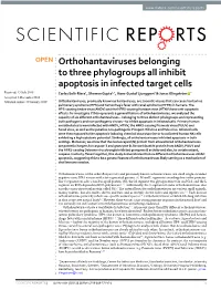 Orthohantaviruses Belonging to Three Phylogroups All Inhibit Apoptosis in Infected Target Cells