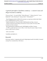 A General Principle of Dendritic Constancy – a Neuron's Size And